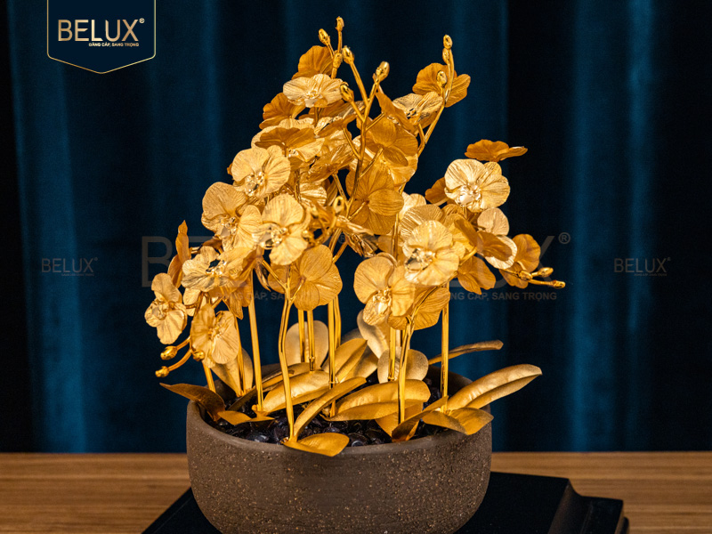 Chậu Lan Hồ Điệp 12 Cành Dát Vàng 24K